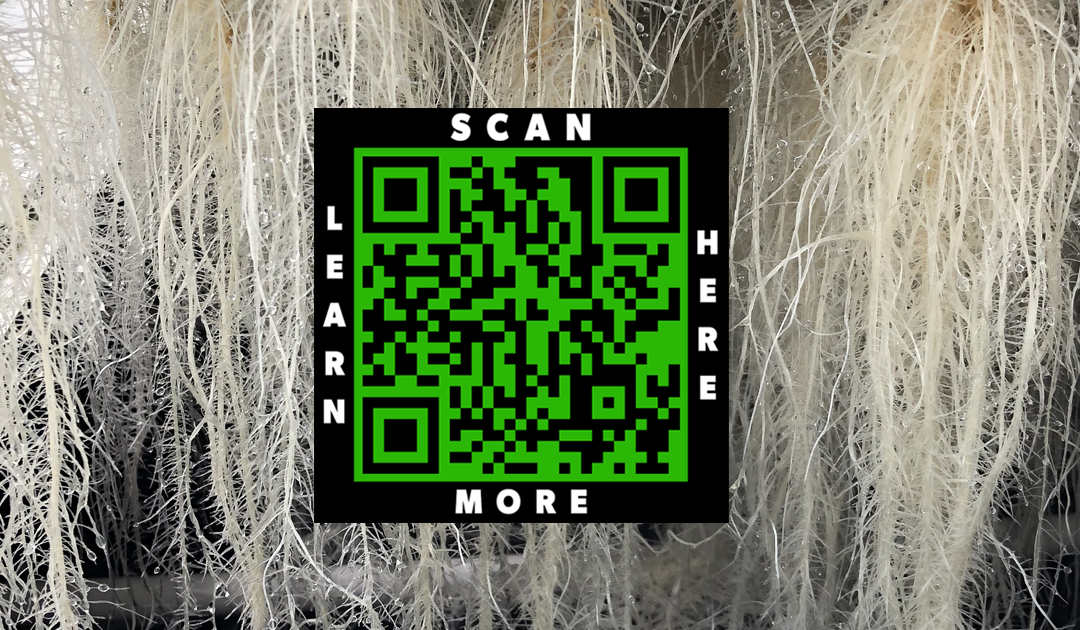 ReAction® Branded Business Cards