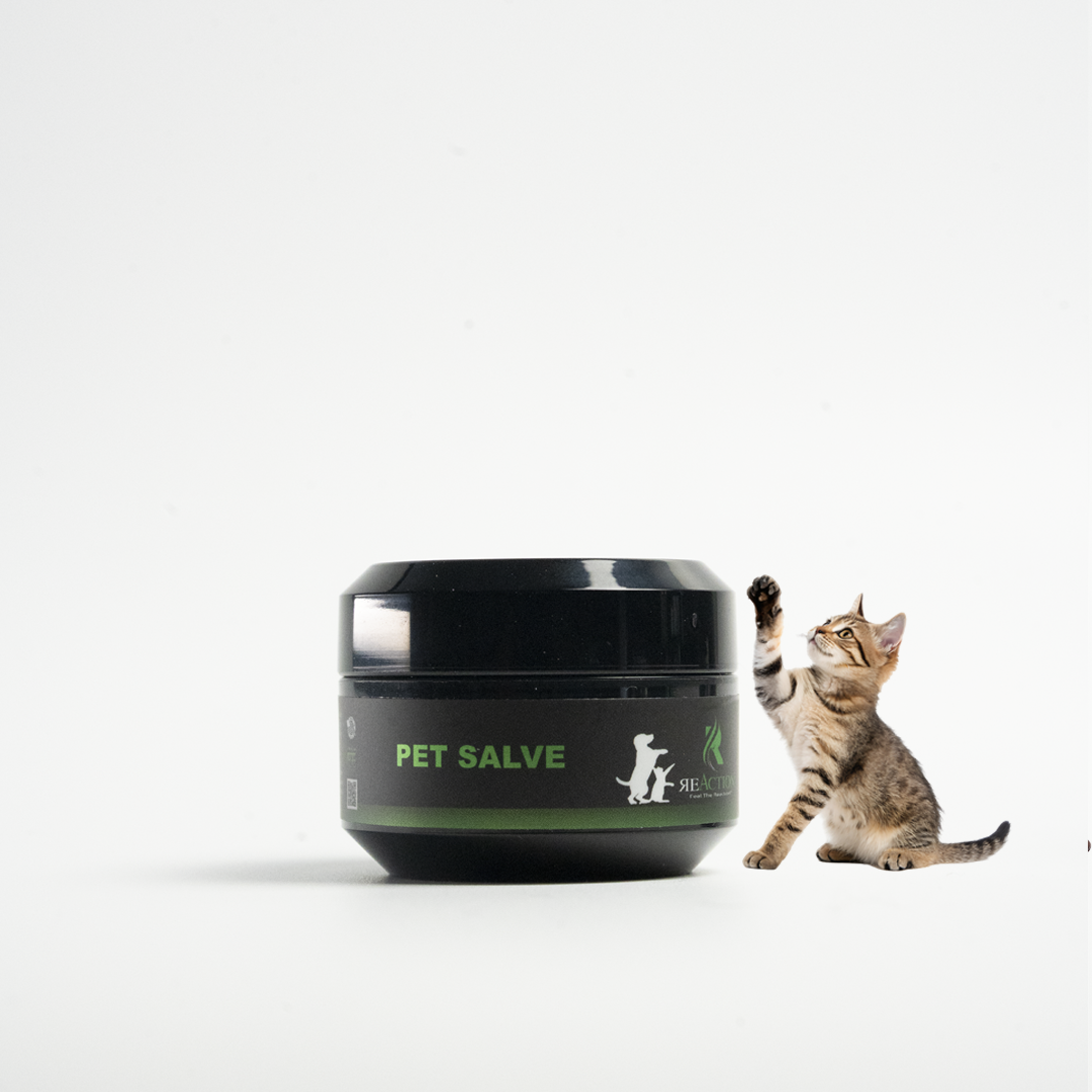 Pet Salve