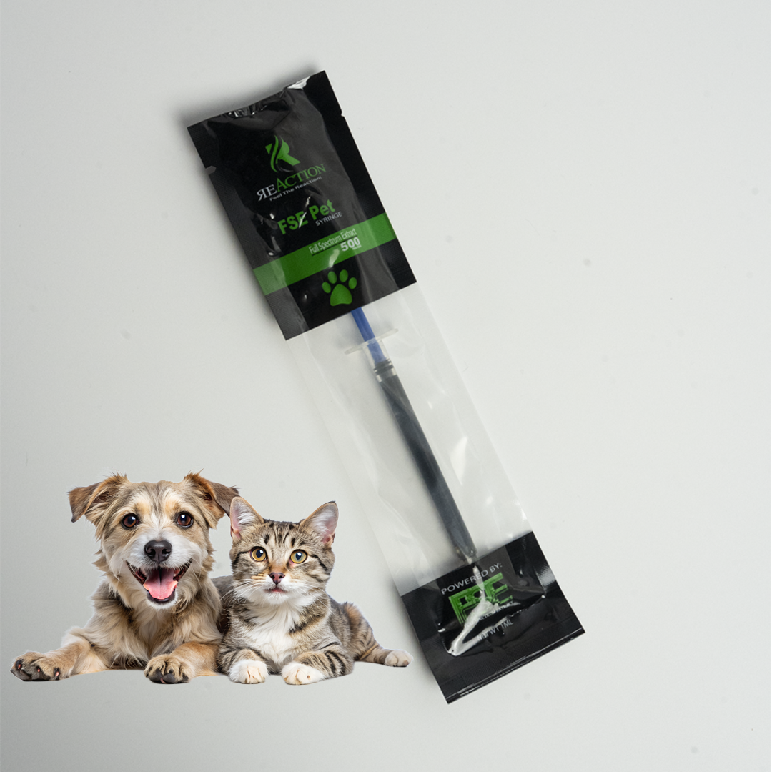 Pet Treat Syringe