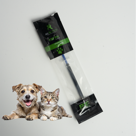 Pet Treat Syringe